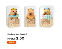 The Read Shop Capibara gum 3 assorti aanbieding