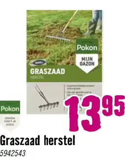 Hornbach POKON Graszaad herstel Sport- en speelgras 500 gr 30 m2 aanbieding