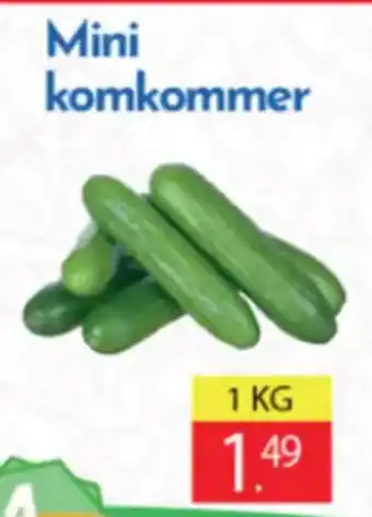 Tanger Markt Mini komkommer aanbieding