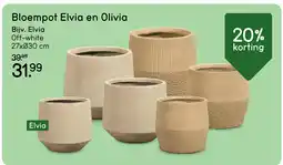 Leen Bakker Bekijk Bloempot Elvia en Olivia [link] aanbieding