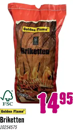 Hornbach GOLDEN FLAME Briketten 10 kg aanbieding