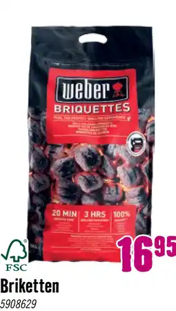 Hornbach WEBER® Briketten 8 kg aanbieding