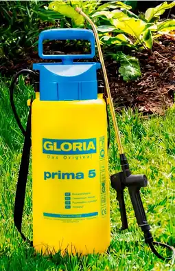 Enorm Gloria Prima 5 aanbieding