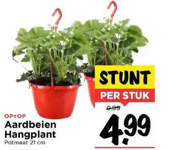 Vomar Voordeelmarkt Aardbeien Hangplant aanbieding