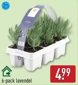 ALDI Lavendel aanbieding