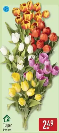 ALDI Tulpen aanbieding