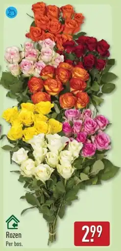 ALDI Rozen aanbieding
