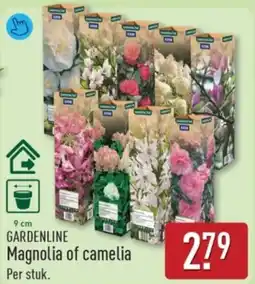 ALDI Gardenline Magnolia of camelia aanbieding