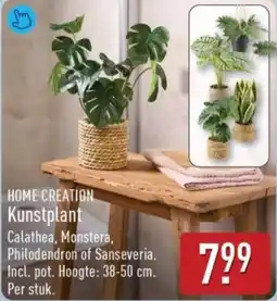 ALDI Home Creation Kunstplant aanbieding