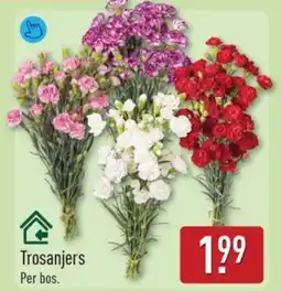 ALDI Trosanjers aanbieding