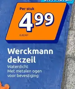 Action Werckmann dekzeil aanbieding