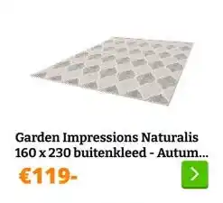 Obelink Garden Impressions Naturalis 160 x 230 buitenkleed - Autumn leaf aanbieding
