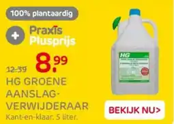 Praxis Hg groene aanslag- verwijderaar aanbieding