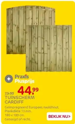 Praxis Tuinscherm cardiff aanbieding