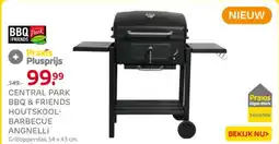 Praxis Central park bbq & friends houtskool- barbecue angnelli aanbieding