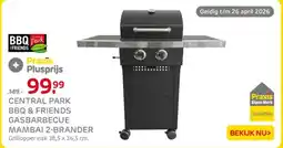 Praxis Central park bbq & friends gasbarbecue mambai 2-brander aanbieding