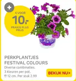 Praxis Perkplantjes festival colours aanbieding
