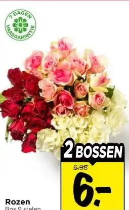 Vomar Voordeelmarkt Rozen aanbieding