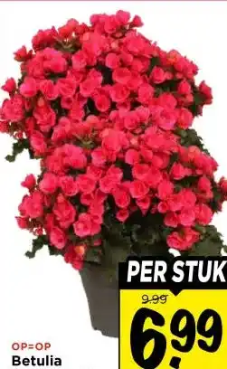 Vomar Voordeelmarkt Betulia aanbieding
