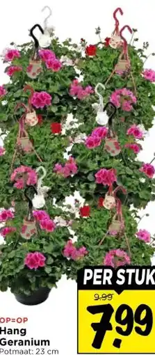 Vomar Voordeelmarkt Hang Geranium aanbieding