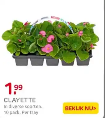 Praxis Clayette aanbieding