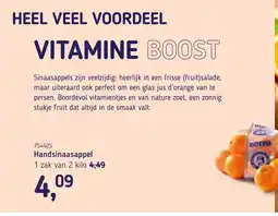 Van Hoeckel Handsinaasappel aanbieding