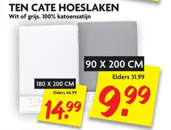 Dekamarkt TEN CATE HOESLAKEN aanbieding