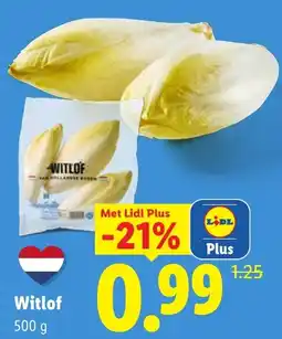 Lidl Witlof aanbieding