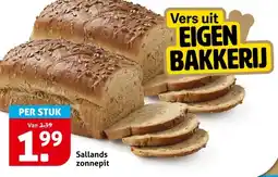 Hoogvliet Sallands zonnepit aanbieding