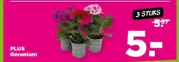 PLUS Plus geranium aanbieding