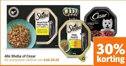 Albert Heijn Alle Sheba of Cesar aanbieding