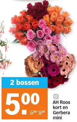Albert Heijn AH Roos kort en Gerbera mini aanbieding