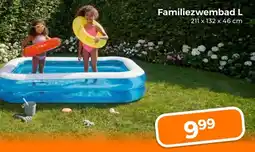 Trekpleister Familiezwembad L aanbieding