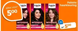 Trekpleister Palette haarkleuring aanbieding