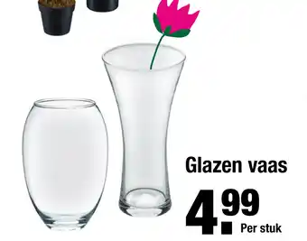 ALDI Glazen vaas aanbieding