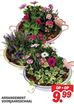 Dekamarkt Arrangement voorjaarsschaal aanbieding