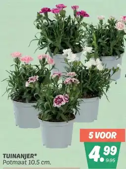Dekamarkt TUINANJER aanbieding