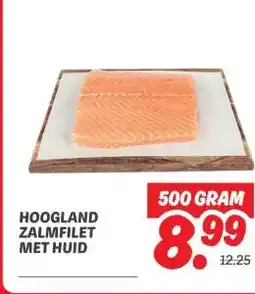 Dekamarkt HOOGLAND ZALMFILET MET HUID aanbieding
