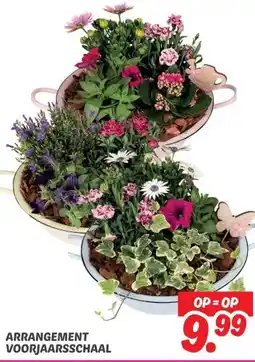 Dekamarkt ARRANGEMENT VOORJAARSSCHAAL aanbieding