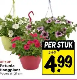 Vomar Voordeelmarkt Petunia Hangplant aanbieding