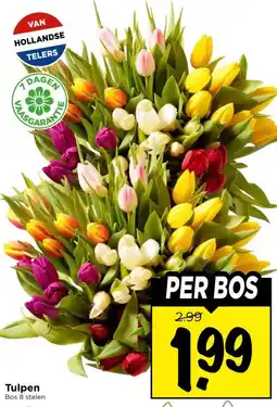 Vomar Voordeelmarkt Tulpen aanbieding