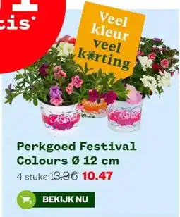 Welkoop Perkgoed Festival Colours Ø 12 cm aanbieding