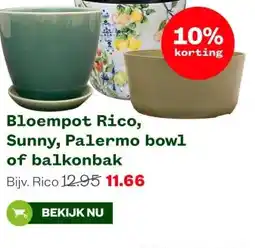 Welkoop Bloempot Rico, Sunny, Palermo bowl of balkonbak aanbieding