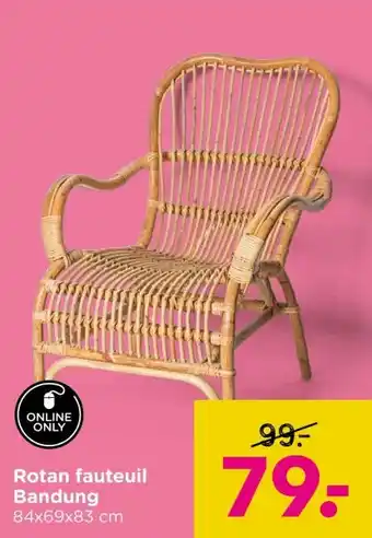 Xenos Rotan fauteuil Bandung aanbieding
