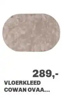 Trendhopper Vloerkleed Cowan ovaal lichtgrijs 21 aanbieding
