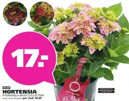 Ranzijn HORTENSIA aanbieding