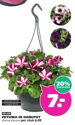 Ranzijn PETUNIA IN HANGPOT aanbieding