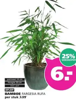 Ranzijn BAMBOE aanbieding