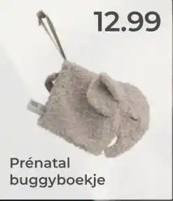 Prenatal Prénatal buggyboekje aanbieding