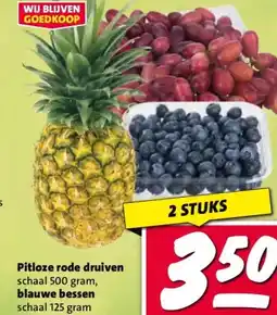 Nettorama Pitloze rode druiven schaal aanbieding